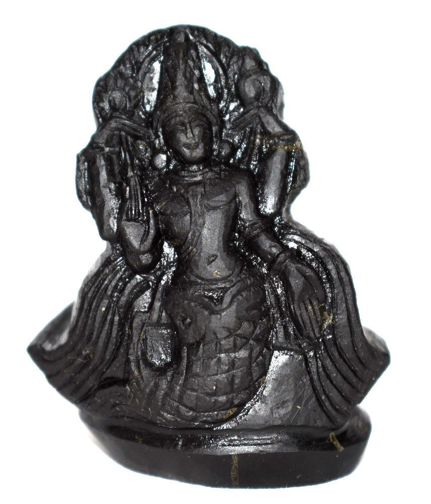 Matsya Idol Carved on Natural Sudarshan Shaligram