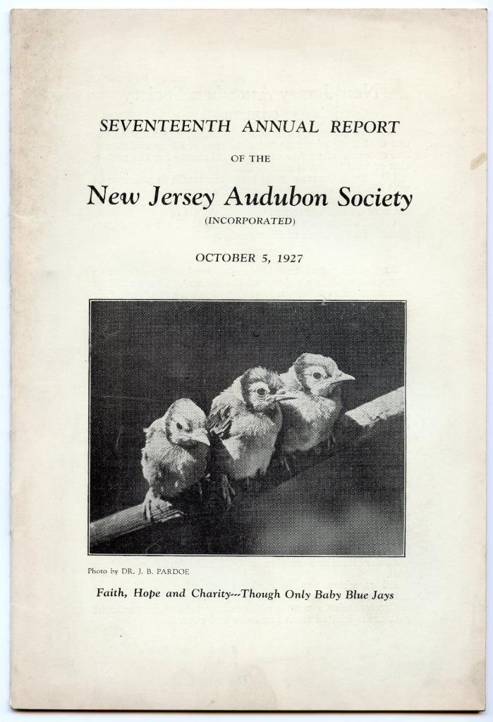 1927 17th Annual Report of the New Jersey Audubon Society Softcover Book Bluejay
