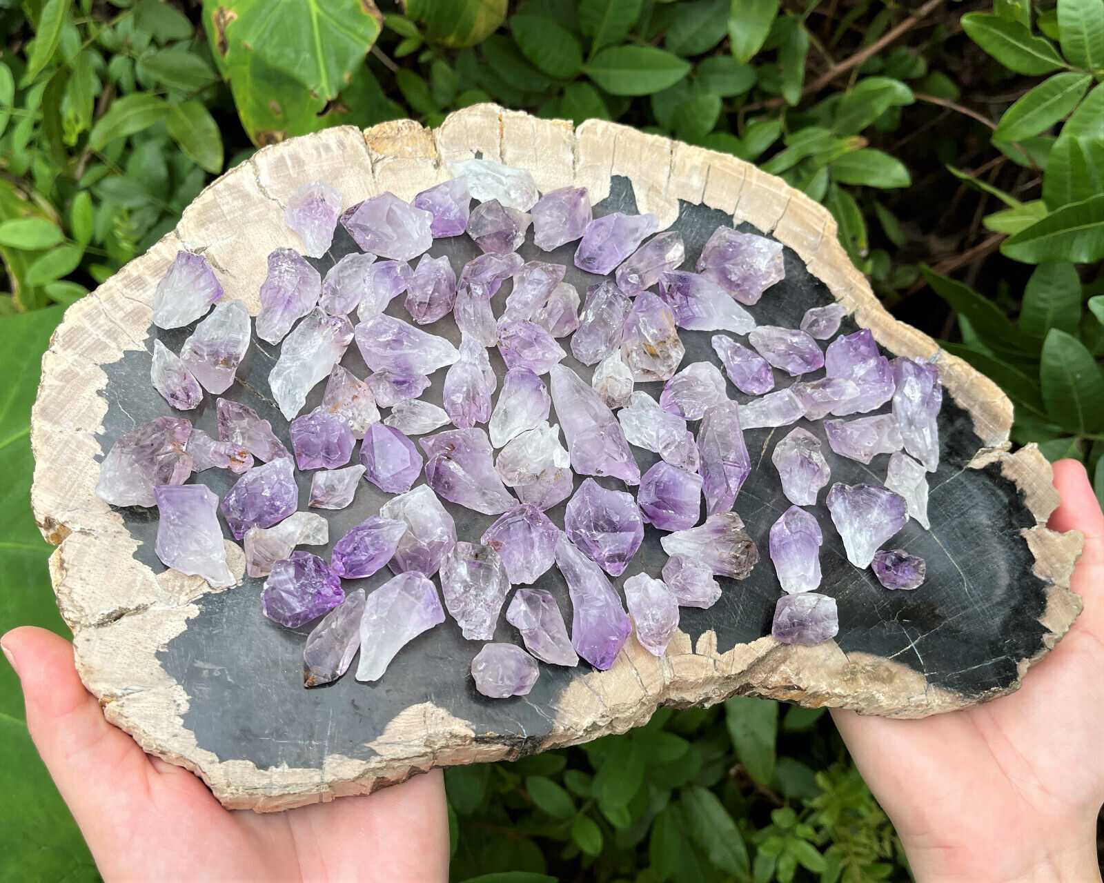 1/2 lb Lot Natural Purple Amethyst Crystal Quartz Points & Pieces (8 oz) 