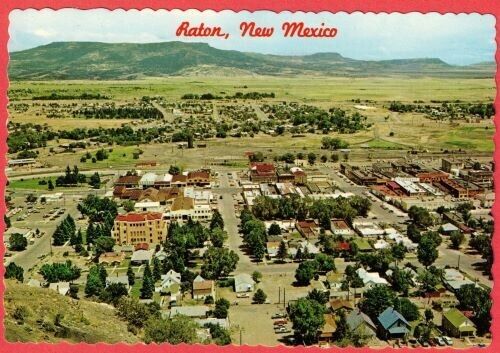 Vintage Raton New Mexico, Gas Station, Stores, Homes Postcard