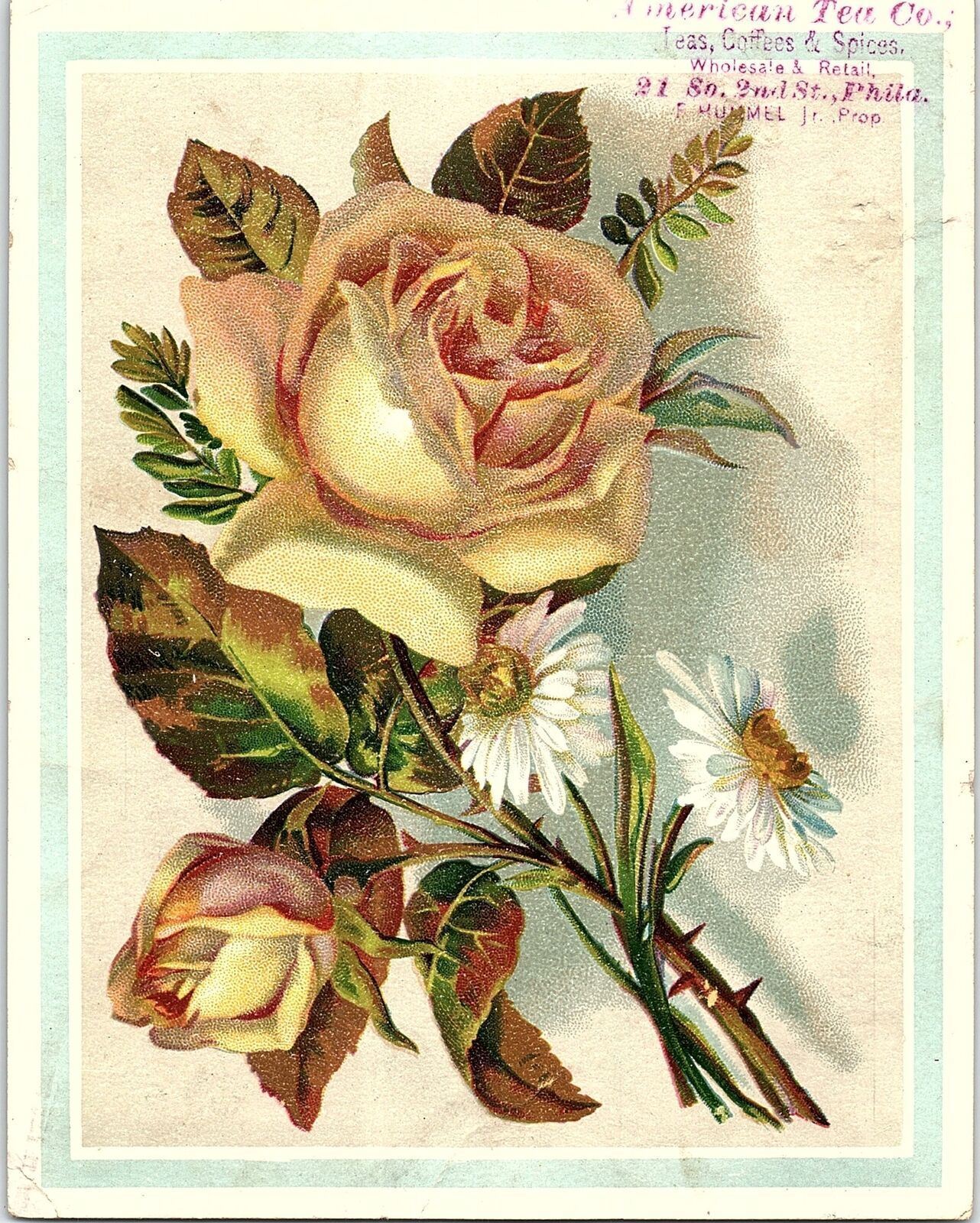 1880s MIDDLETON'S SILVER TEA PHILADELPHIA PA FLORAL VICTORIAN TRADE CARD 40-164