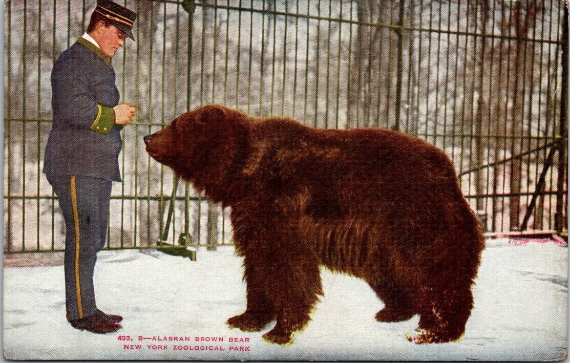 Alaskan Brown Bear, Trainer New York Zoological Park Vintage Postcard