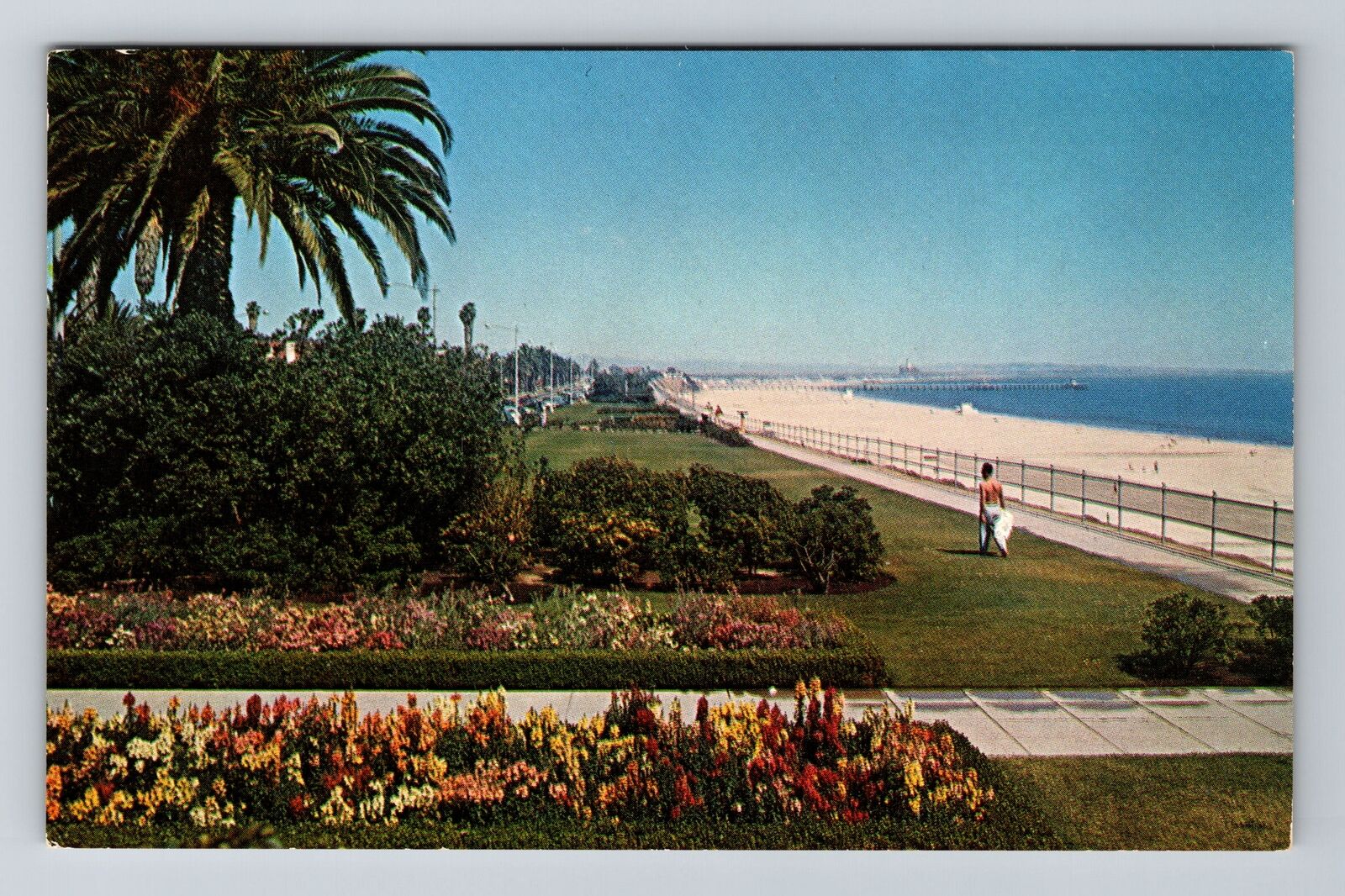 Long Beach CA-California, Bluff Park, Catalina Channel, Vintage Postcard
