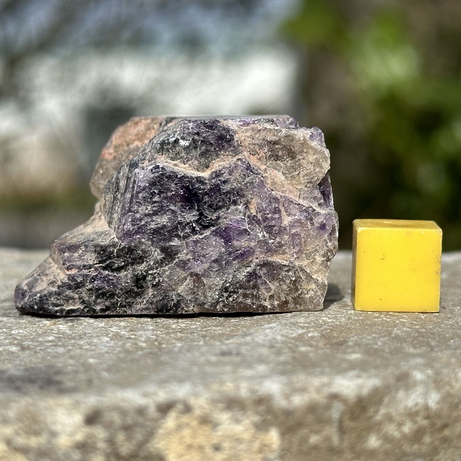 Amethyst Enhance Immune System Birthstone of February Spiritual Connection and