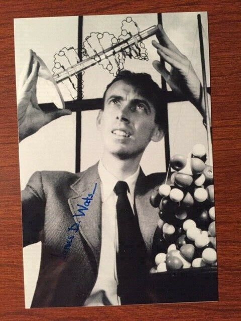 JAMES D. WATSON SIGNED PHOTO, DOUBLE  HELIX STRUCTURE OF DNA, 1962 NOBEL PRIZE