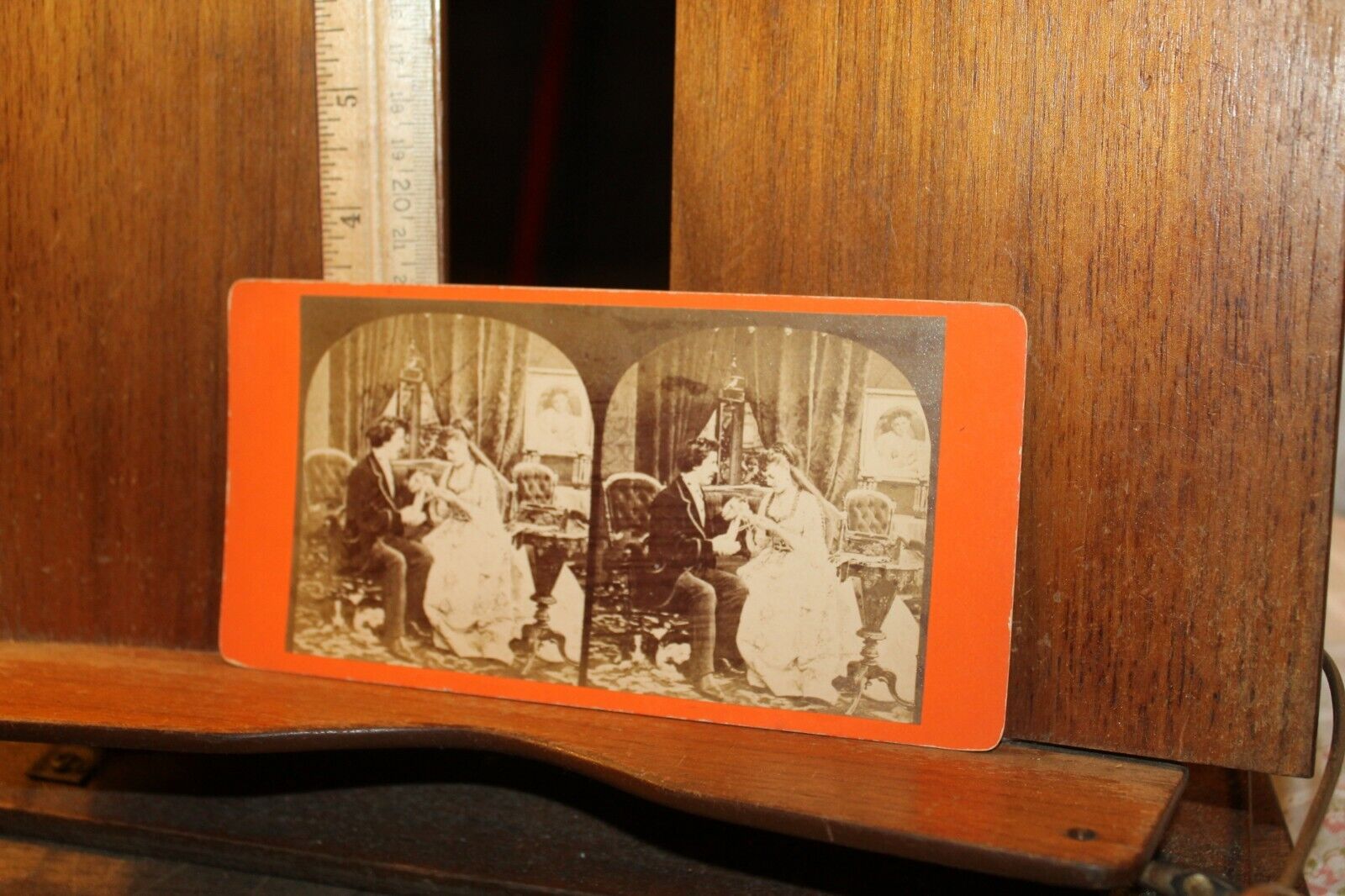 Antique Stereoview Photo The Entanglement 