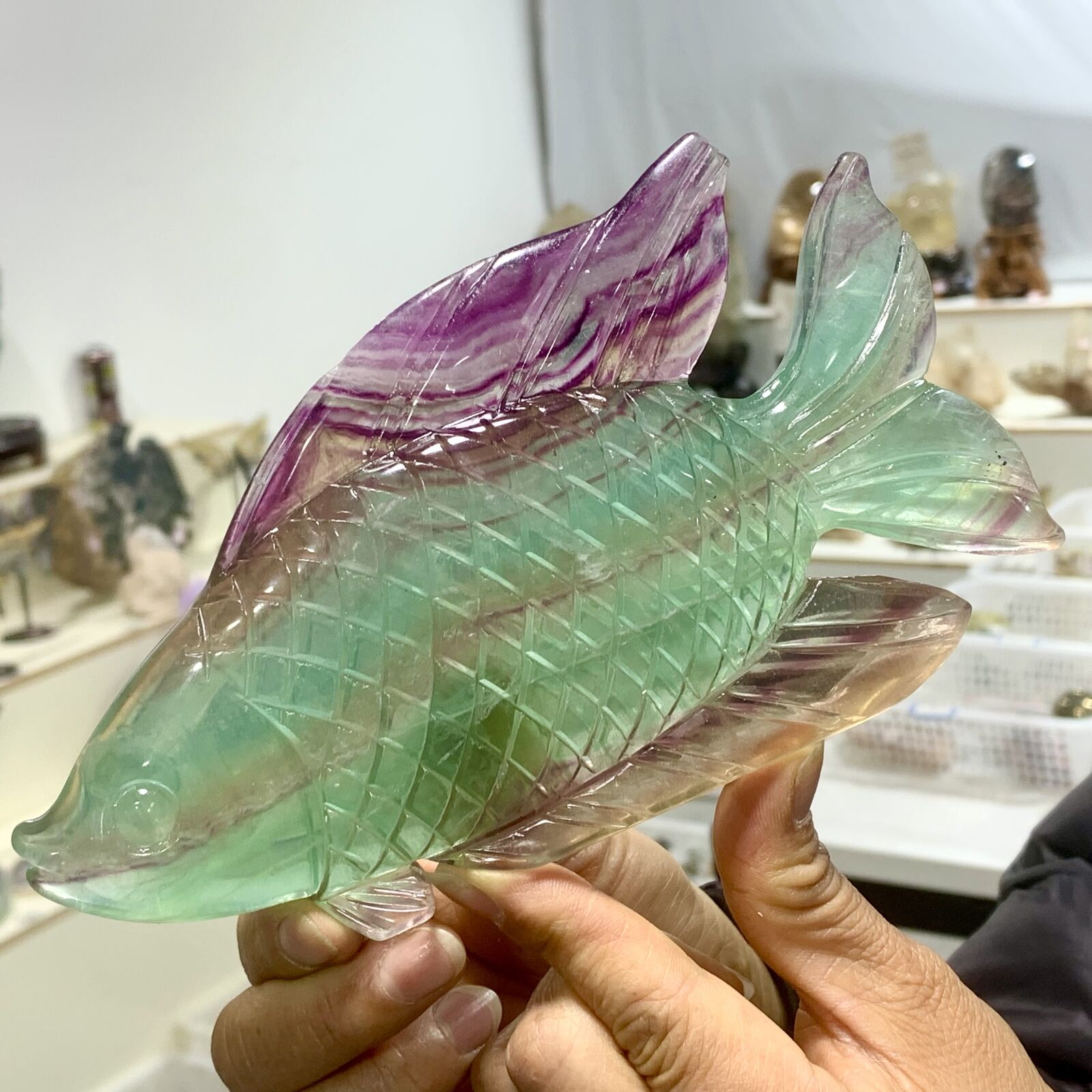 1.17LB Natural Beautiful Colours Fluorite Crystal Carving Fish Sculpture Healing