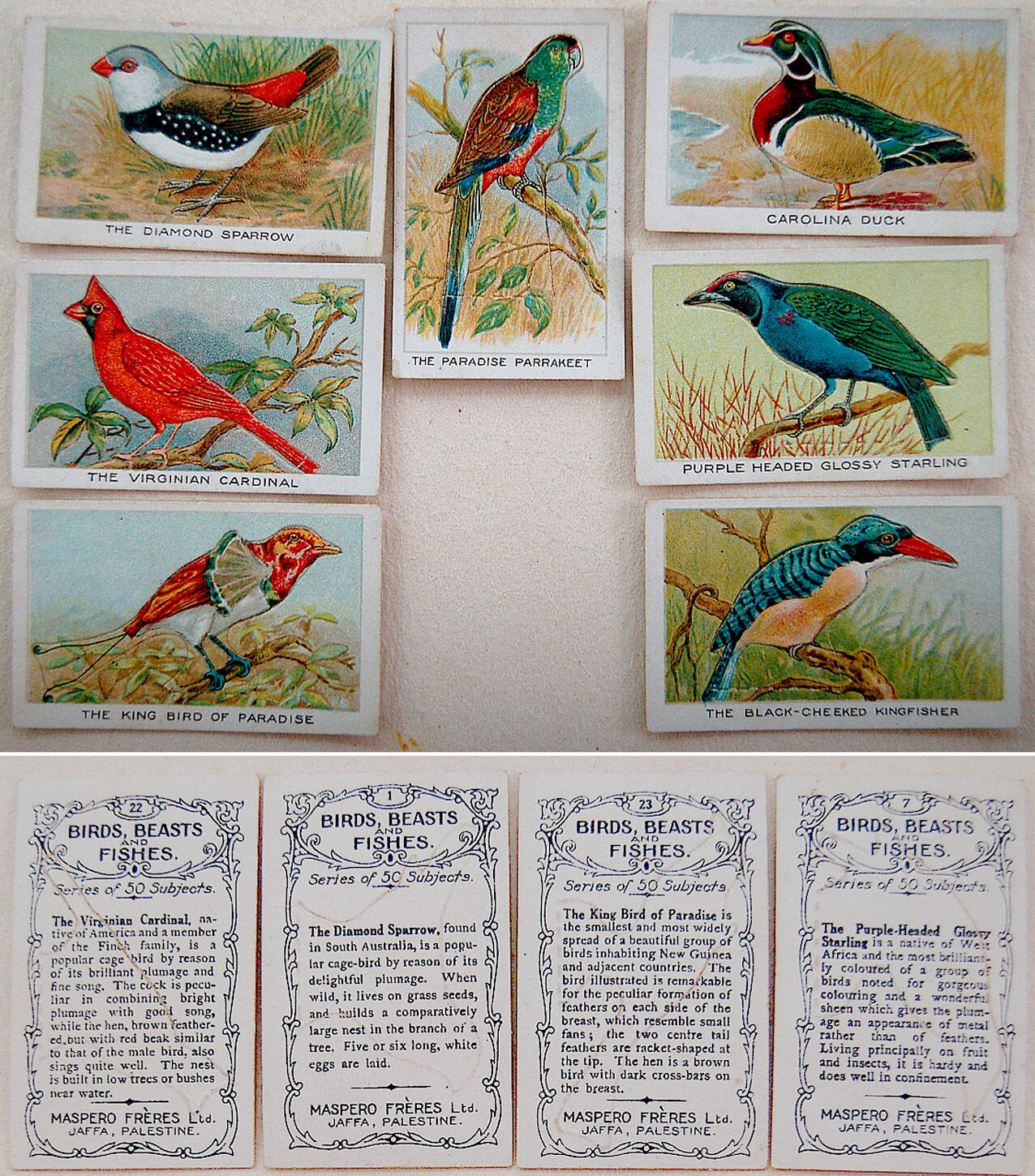 1920 PALESTINE Israel 7 CIGARETTE POP-UP 3D CARDS Judaica BIRDS Ornithology RARE