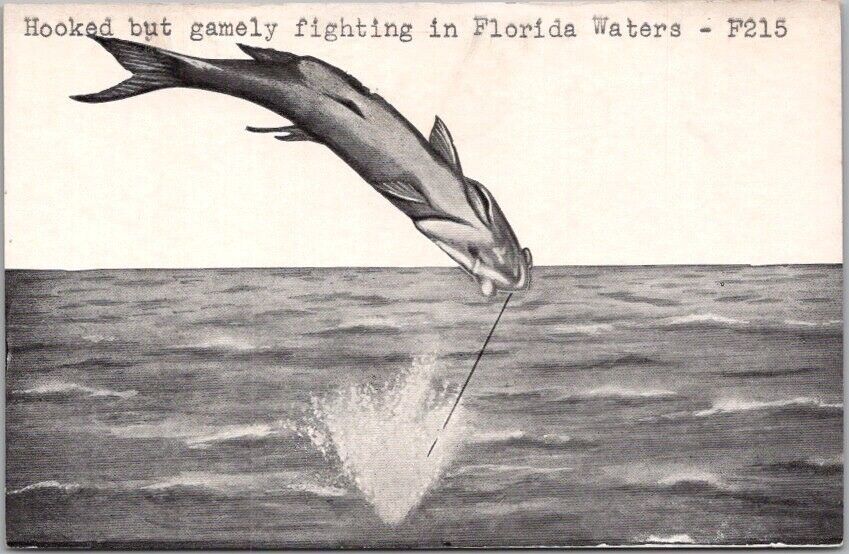 Vintage 1940s FLORIDA Greetings Postcard 