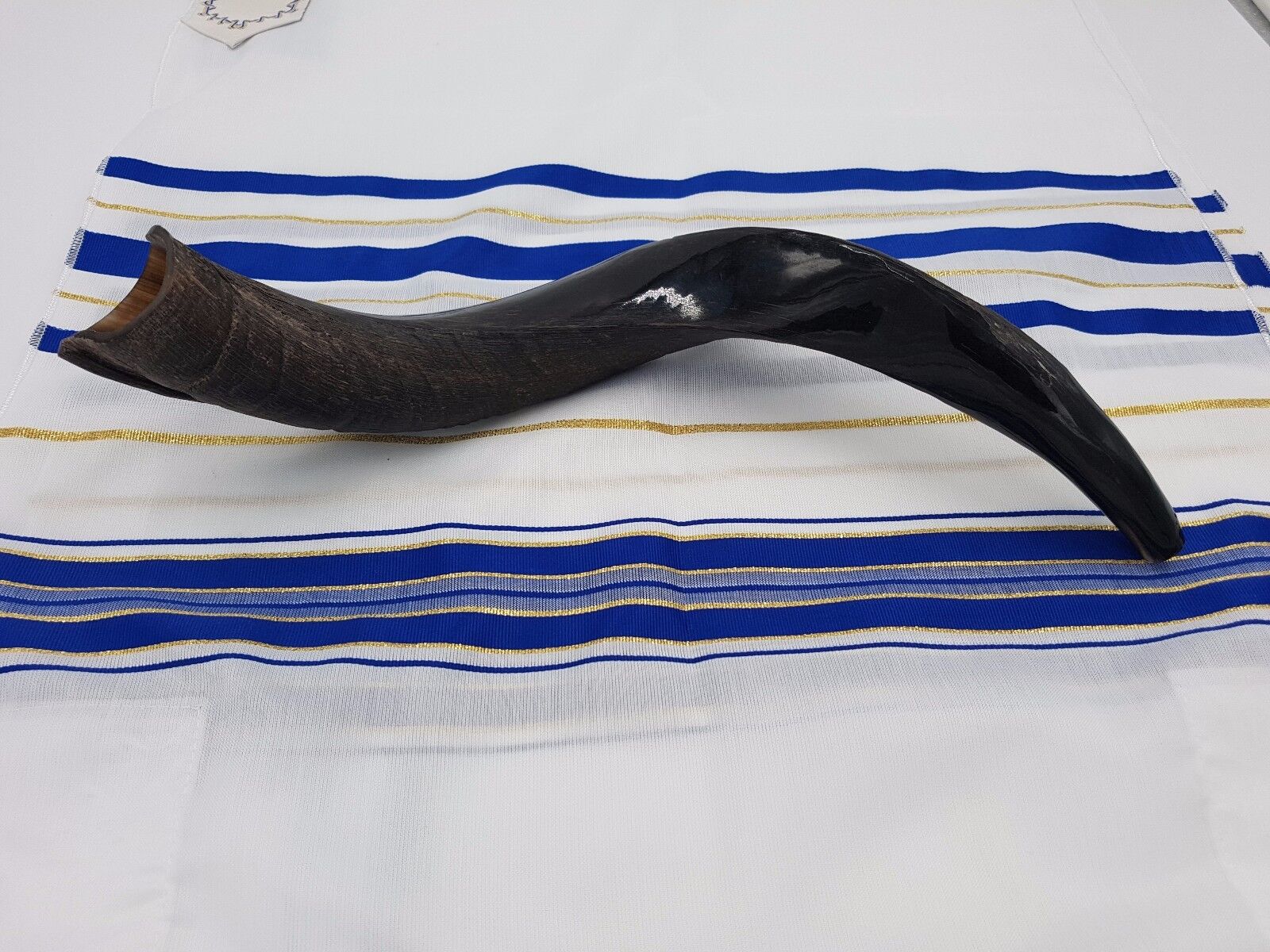 Yemenite Kudu Horn SHOFAR 16''-19'' KOSHER Made in Jerusalem 