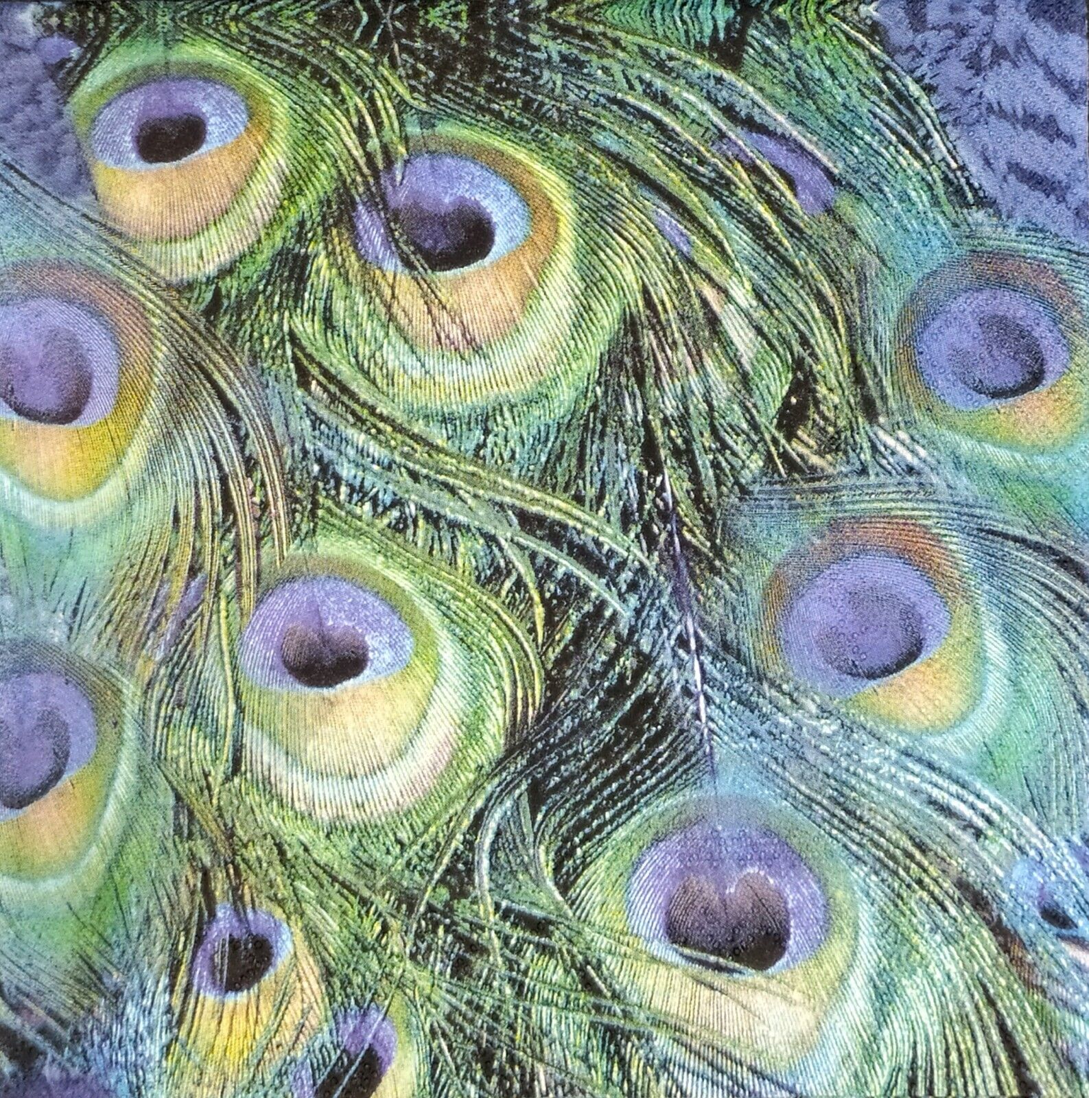 P021# 3x Single Paper Napkins Decoupage Peacock Feathers Green Blue Pattern