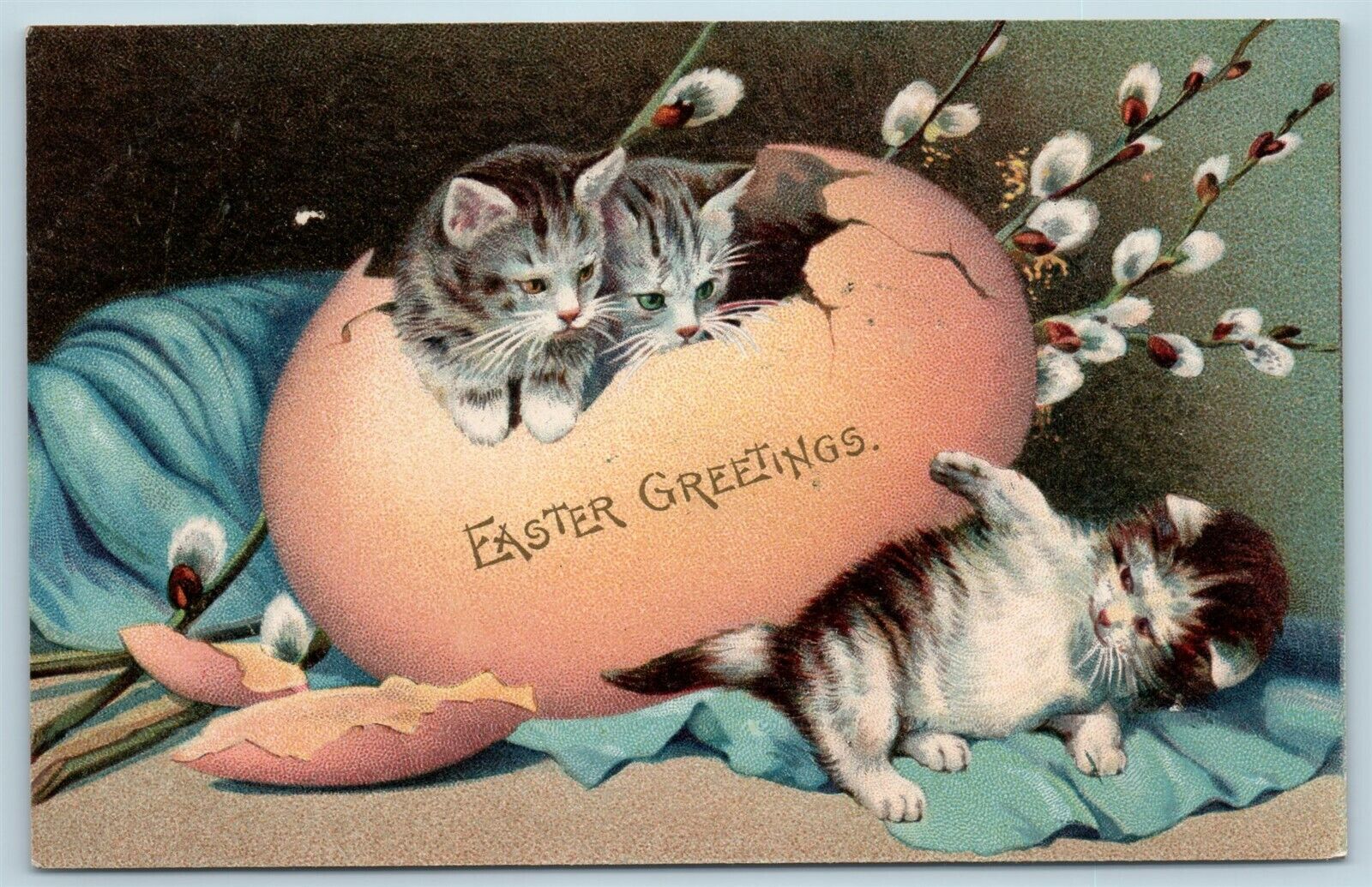 Postcard Easter Fantasy Cats Kittens Exaggerated Egg 1906 Langsdorf? AA10
