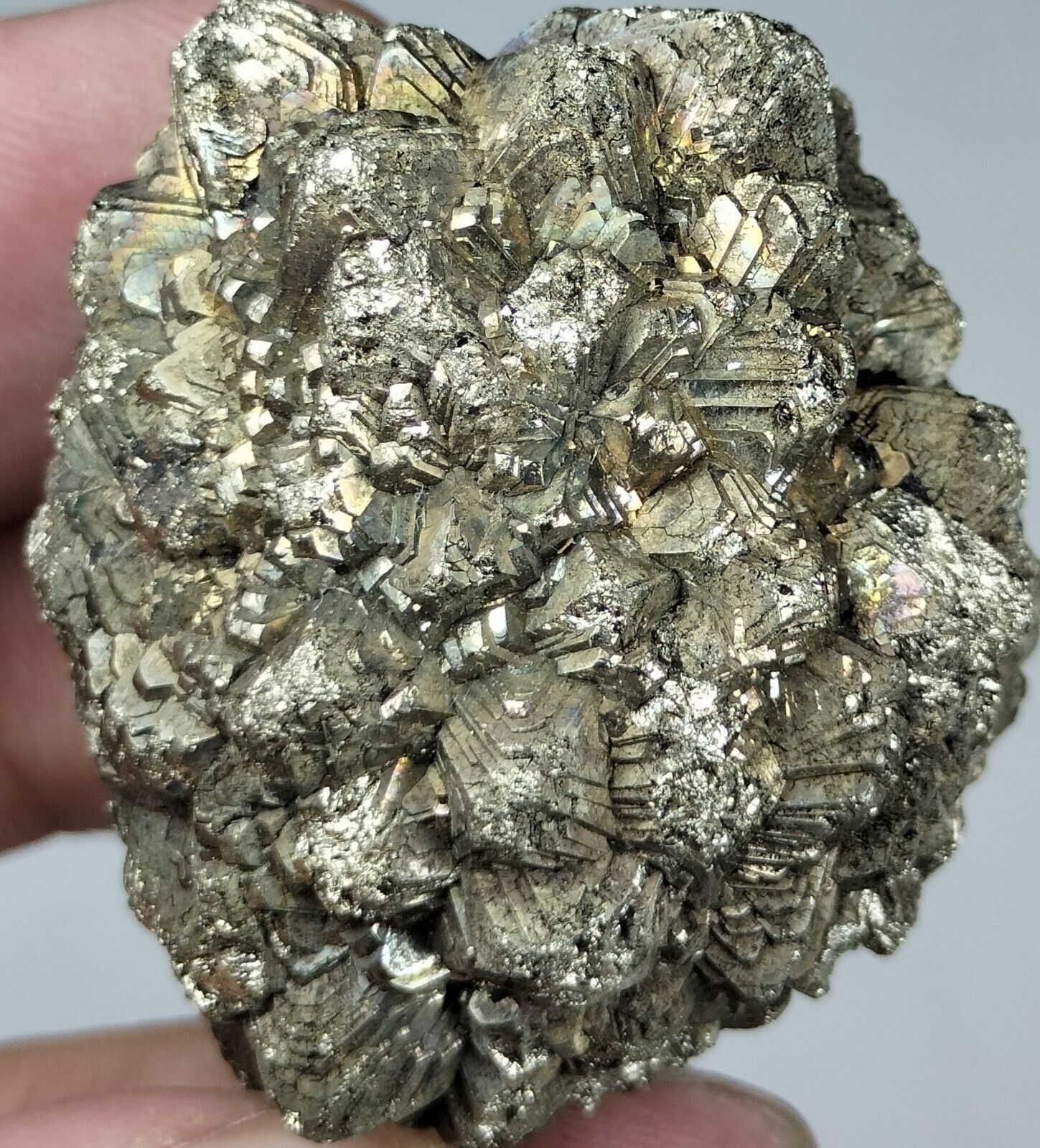 Golden pyrite Star formation after Marcasite AKA white iron pyrite good luster.