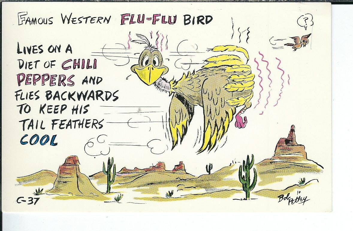AY-027 - Flu Flu Bird, Artist Signed Bob Petley 1950\'s-1960\'s  Postcard 