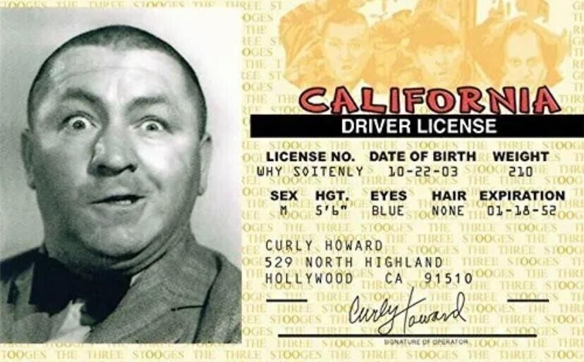 CURLY OF THE THREE STOOGES DL TRADING CARD 