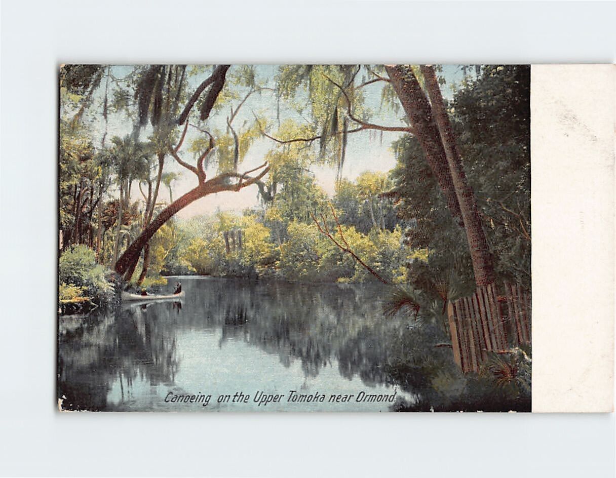 Postcard Canoeing on the Upper Tomoka, Florida