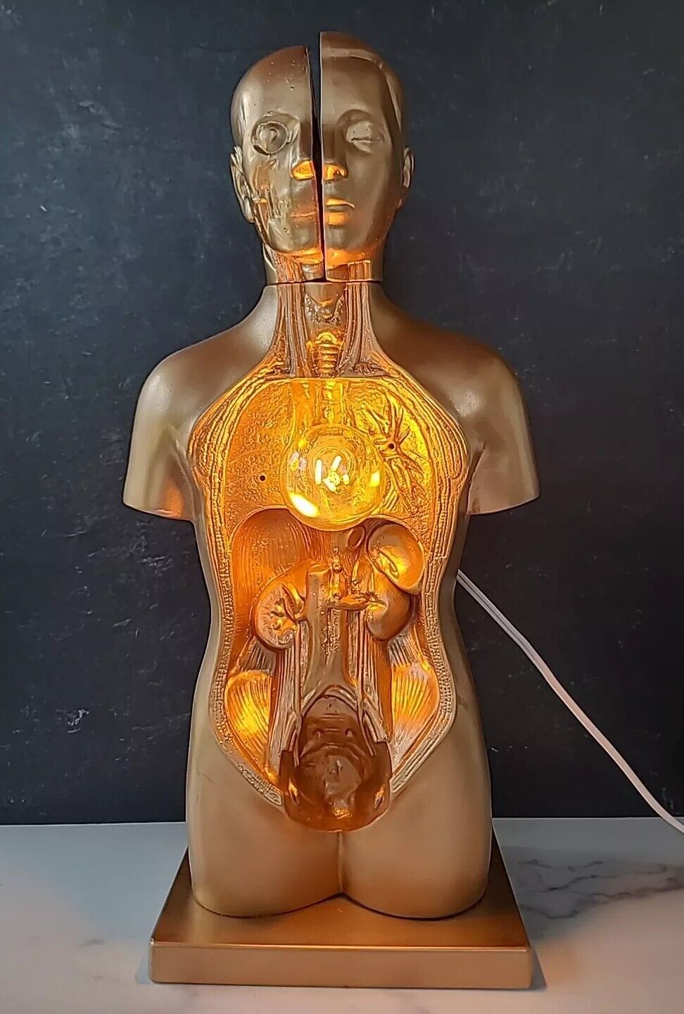 Vintage Human Head And Torso Scientific Model Desktop Lamp OOAK