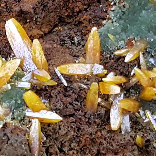 SUPERB 3 INCH WULFENITE CRYSTALS WITH MIMETITE ON LIMONITE