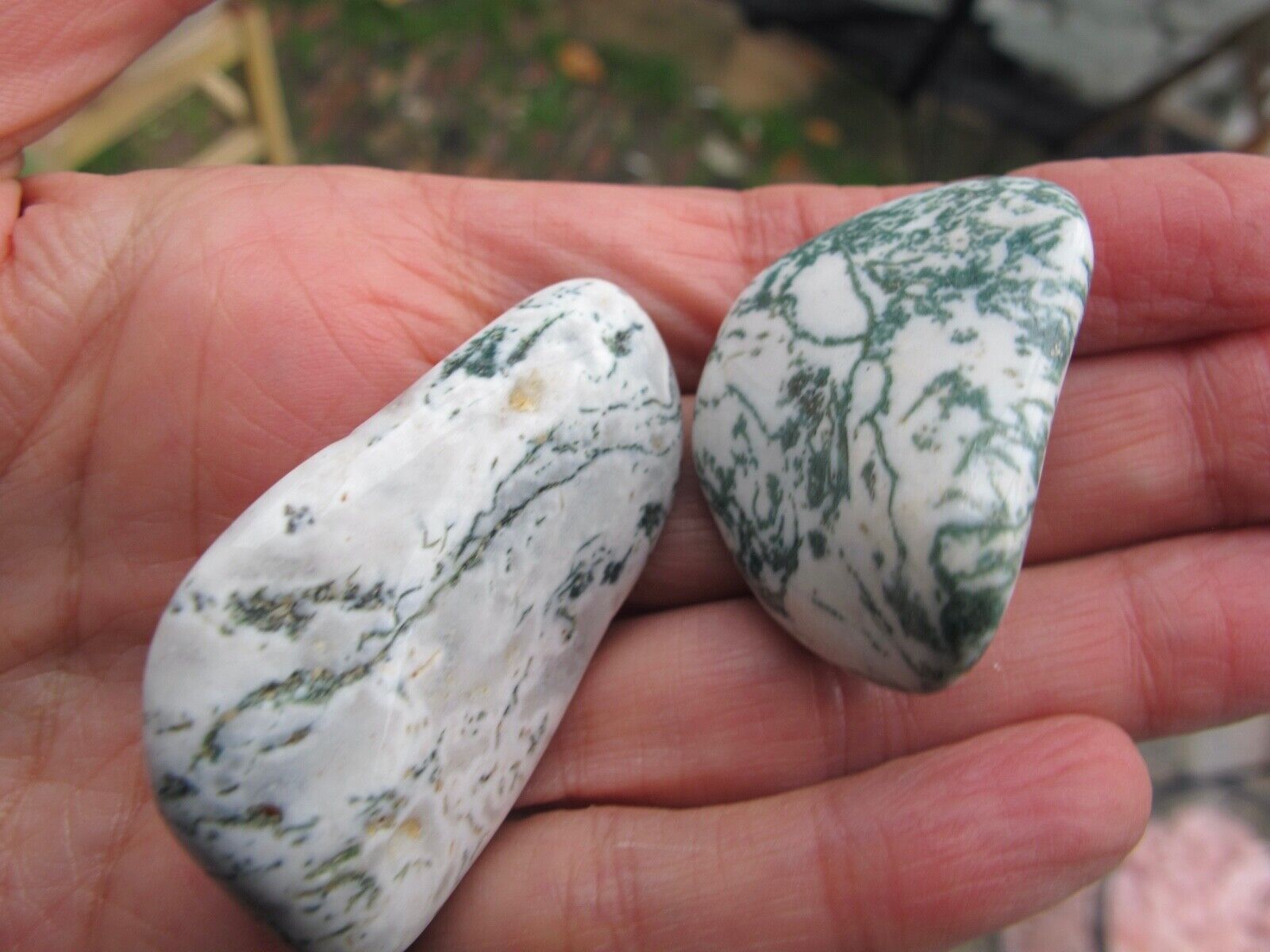 Tree Agate Crystal Natural Healing Polished Large Tumble immune system protect  
