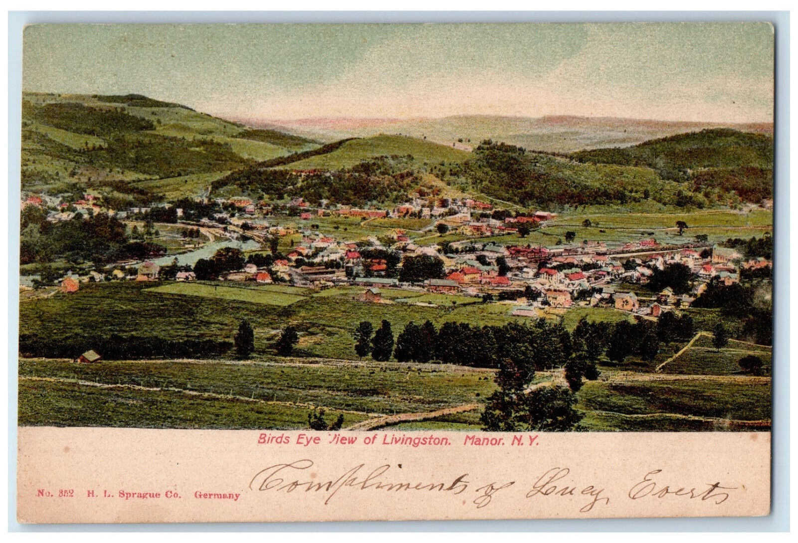 c1905 Birds Eye View of Livingston New York NY Posted HL Sprague Co. Postcard