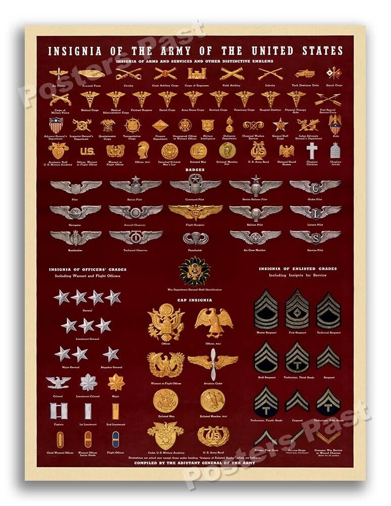 “Insignia of the Army of the United States” 1943 World War 2 Poster - 24x32