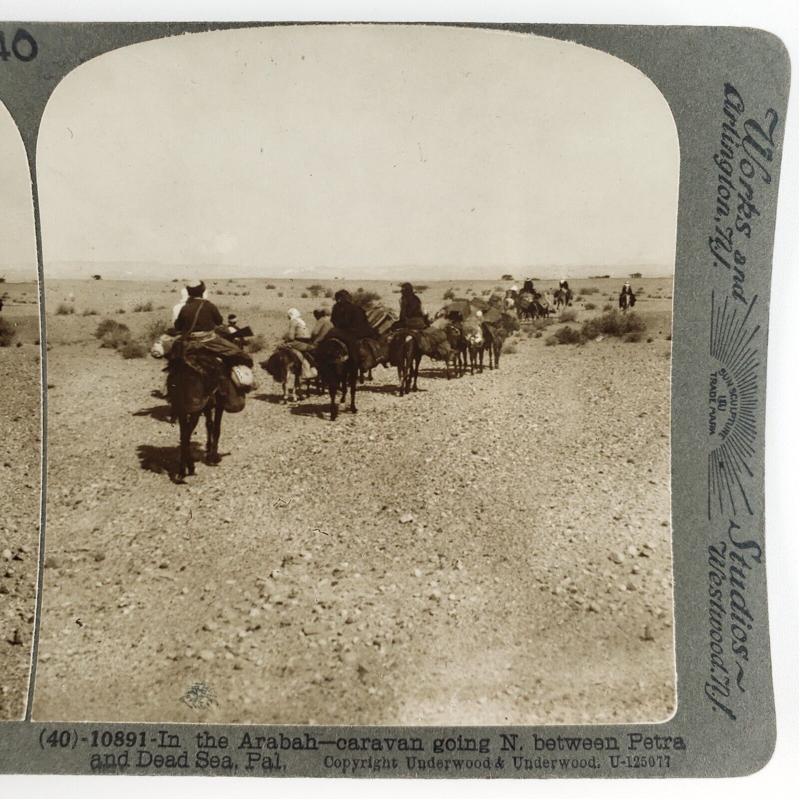 Negev Desert Horse Riders Stereoview c1913 Underwood Arabah Palestine Card G605