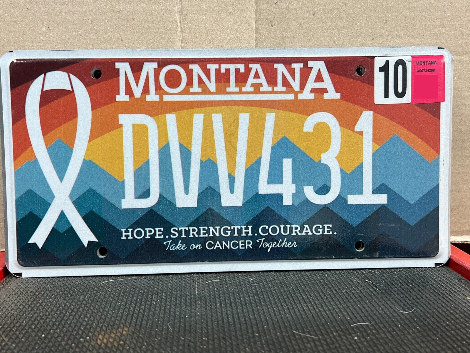 TAKE ON CANCER TOGETHER MONTANA LICENSE PLATE