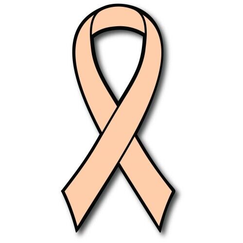 Peach Uterine Cancer Awareness Ribbon Car Magnet Decal Heavy Duty 3.5\