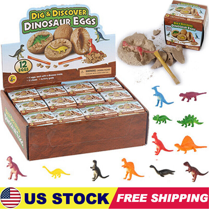 Dino Eggs Dig Toys 6 Boxes Dinosaur Eggs Excavation Science Experiments Kits USA