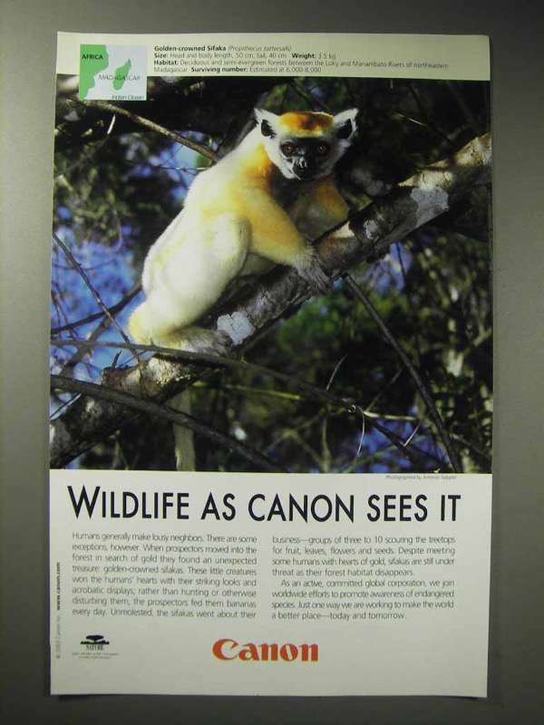 2003 Canon Ad - Golden-crowned Sifaka
