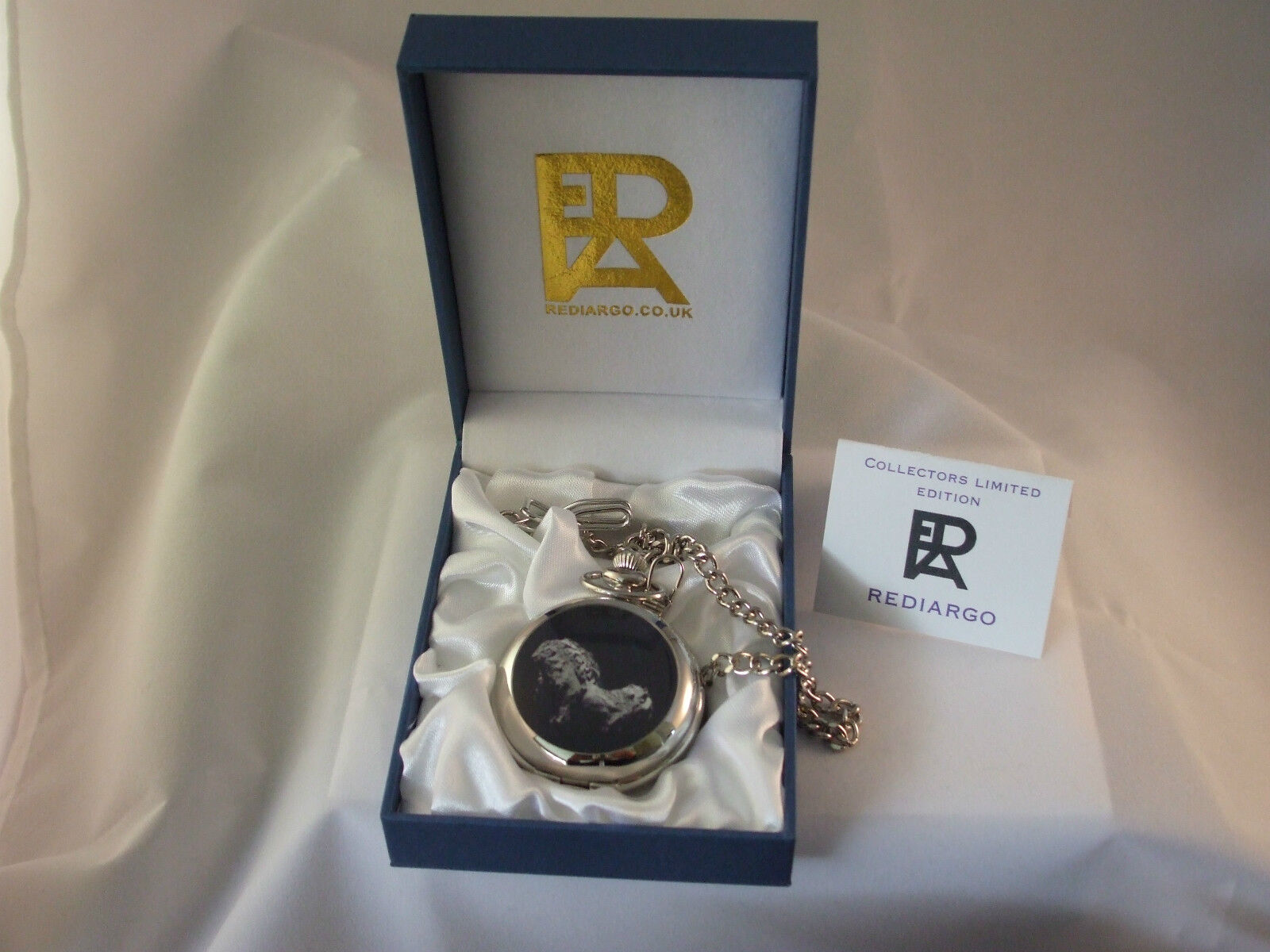 Rosetta 67p Philae Lander Limited edition pocket watch only 100 made 