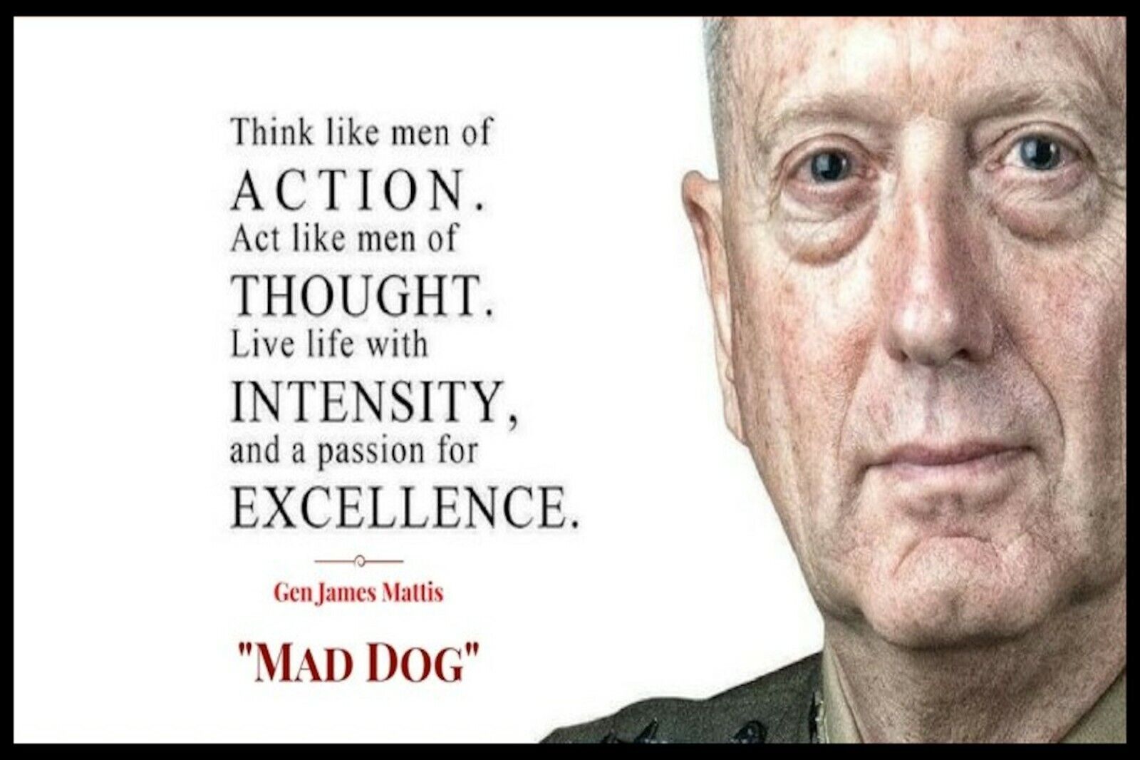 Four Star General James Mattis Mad Dog Quote Refrigerator Fridge Magnet 4X6 MAN