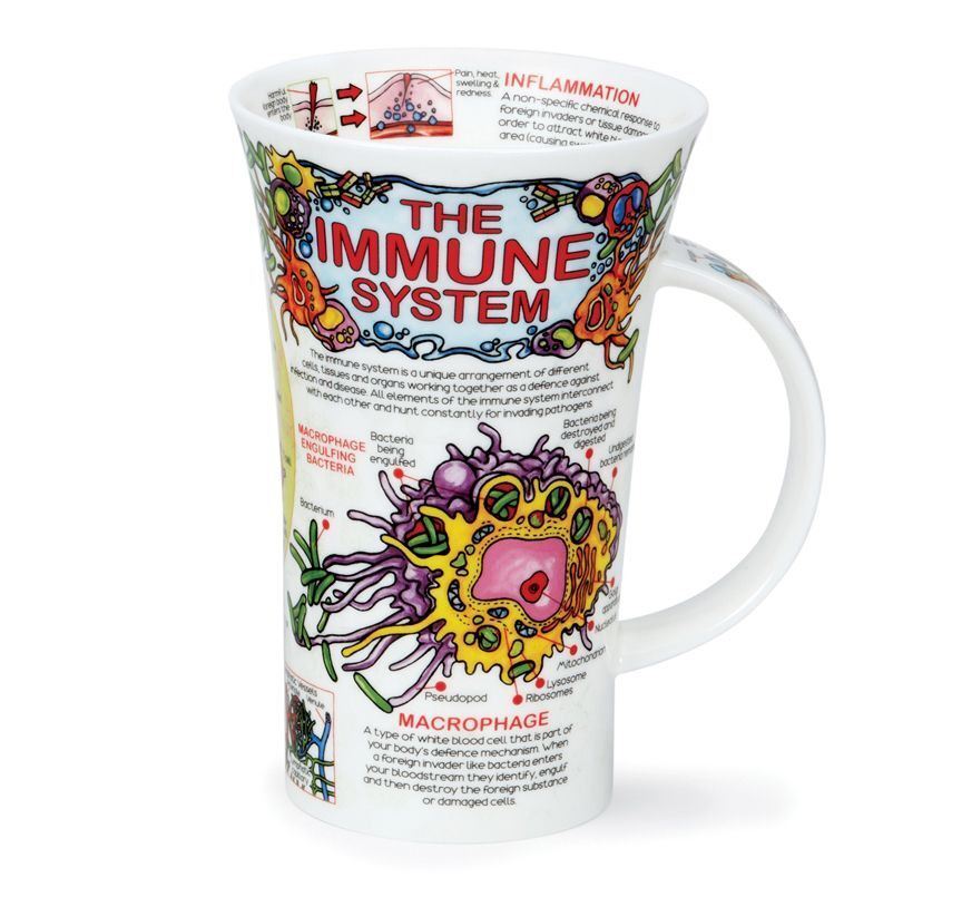 Dunoon Glencoe The Immune System Mug