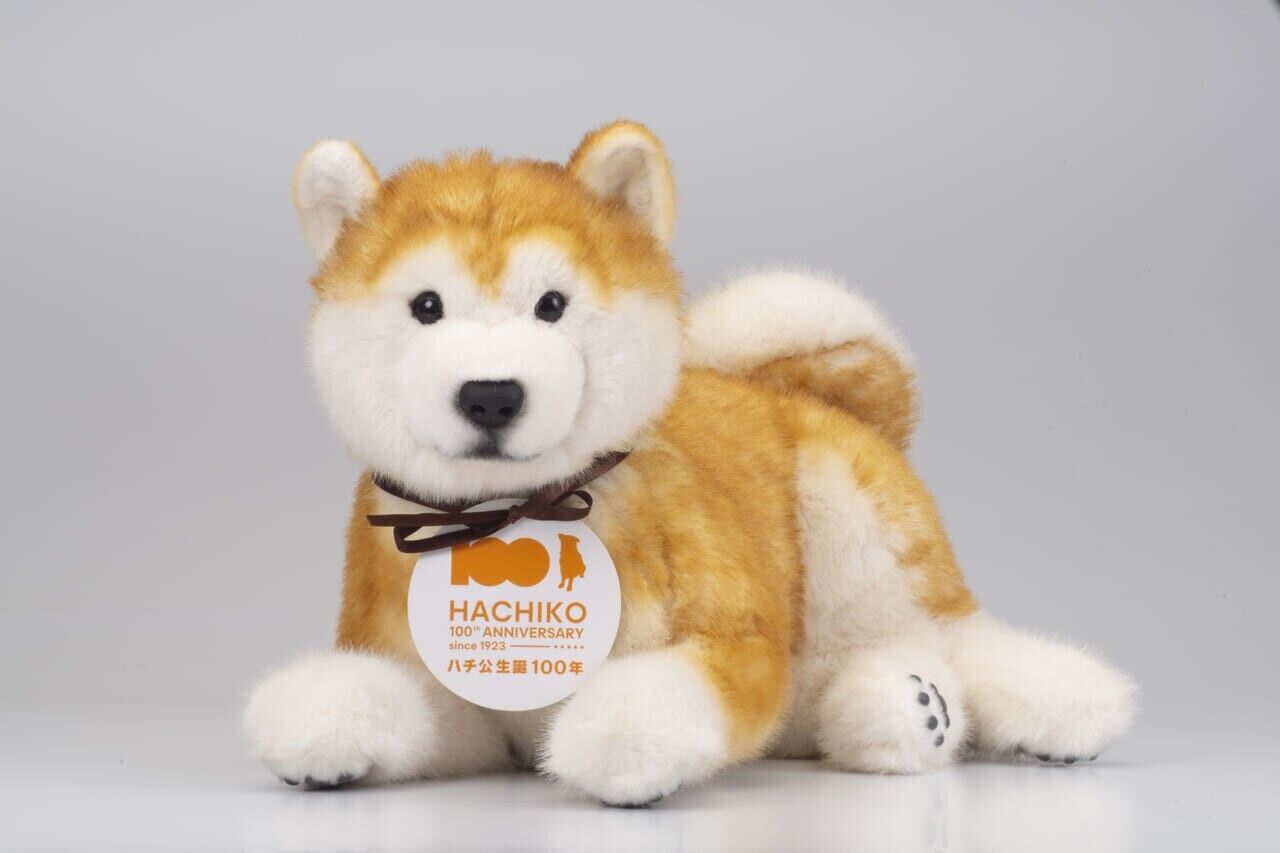 Akita dog HACHI/stuffed toy type communication robot Hachiko 100th anniversary