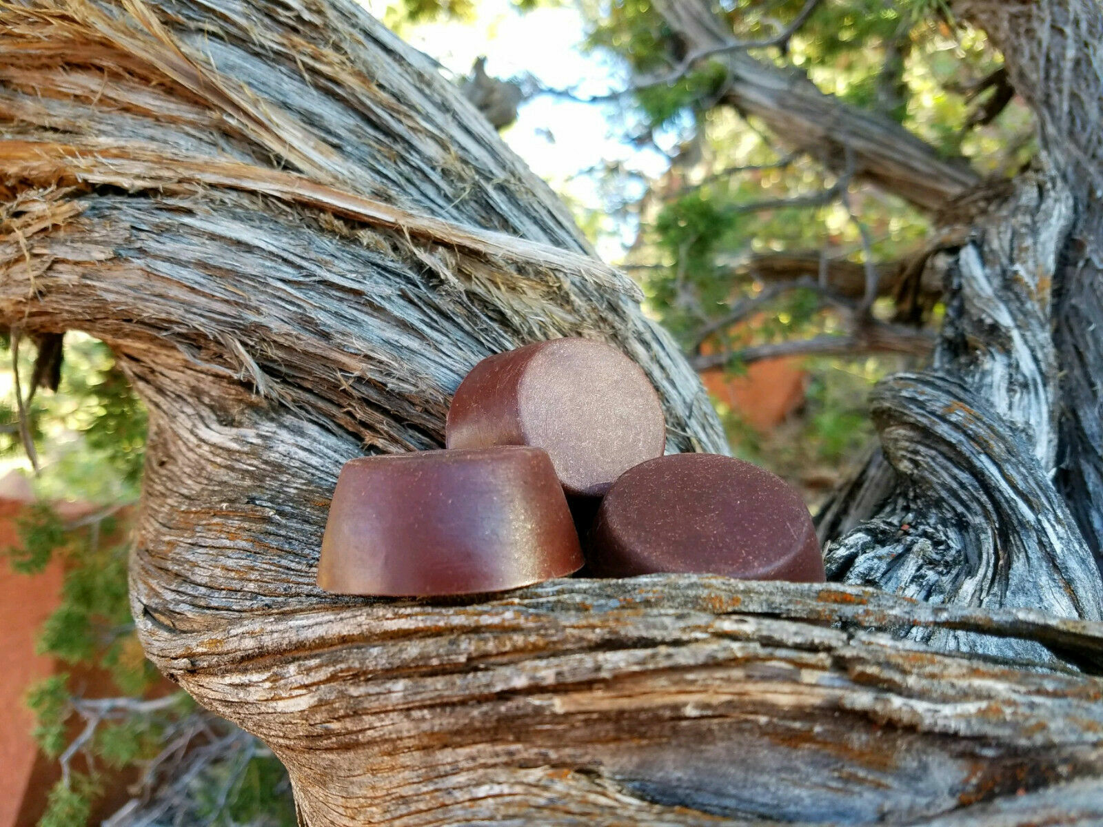 Small Orgonite® Tower Busters - Red Rock Sedona Vortex Pucks - EMF 5G Protection