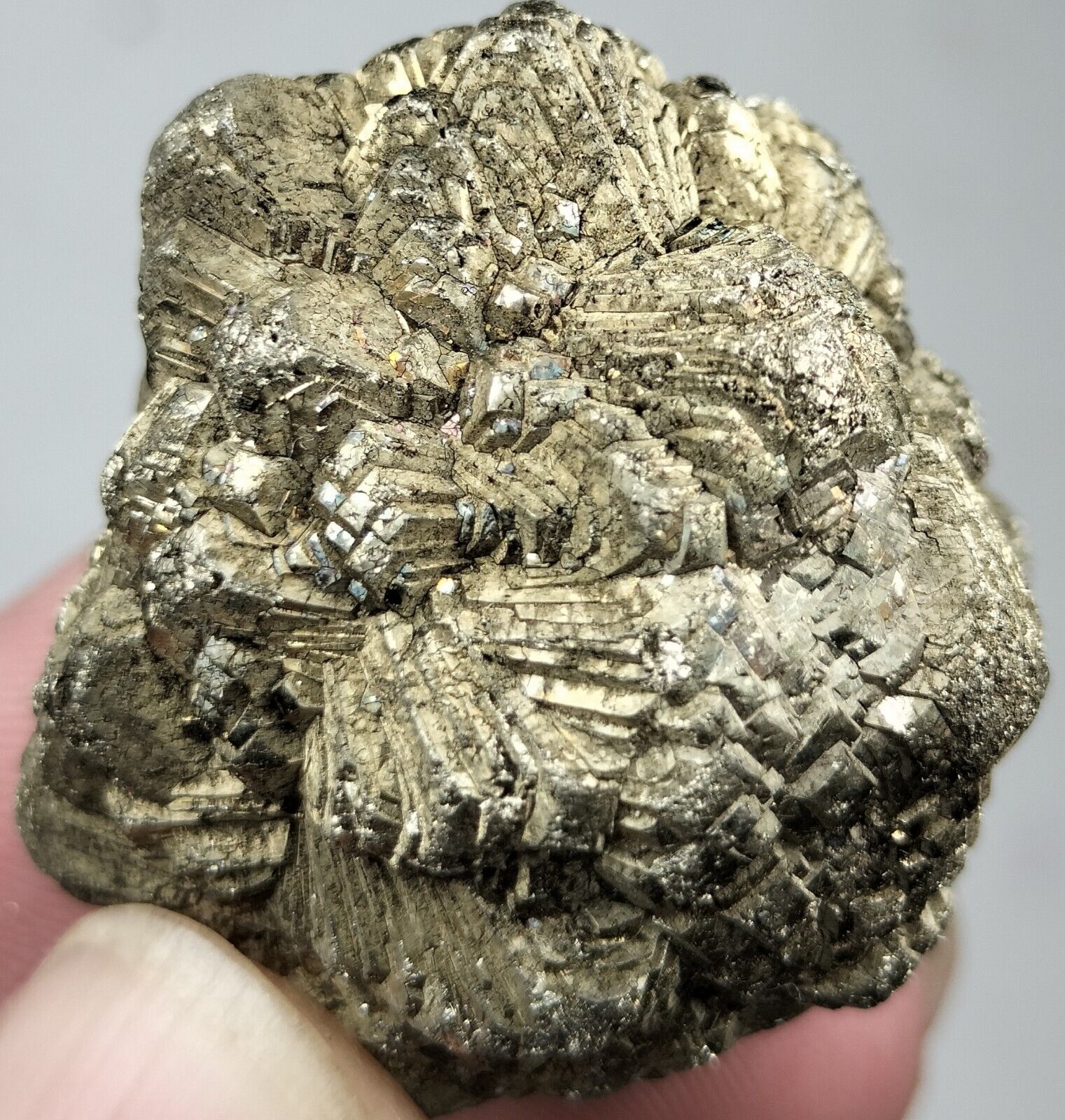 Golden pyrite Star formation after Marcasite AKA white iron pyrite good luster.