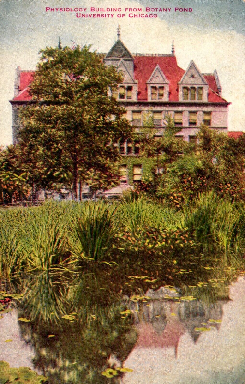 Physiology Building From Botany Pond University Of Chicago Illinois Postcard