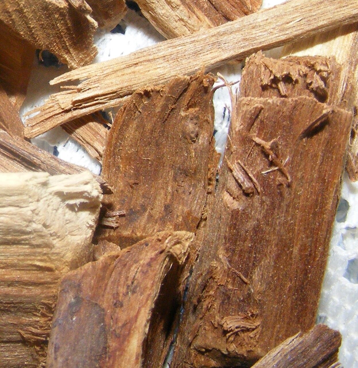 PALO AZUL (BLUE STICK) or KIDNEY WOOD - Famous Detox Herbal Remedy