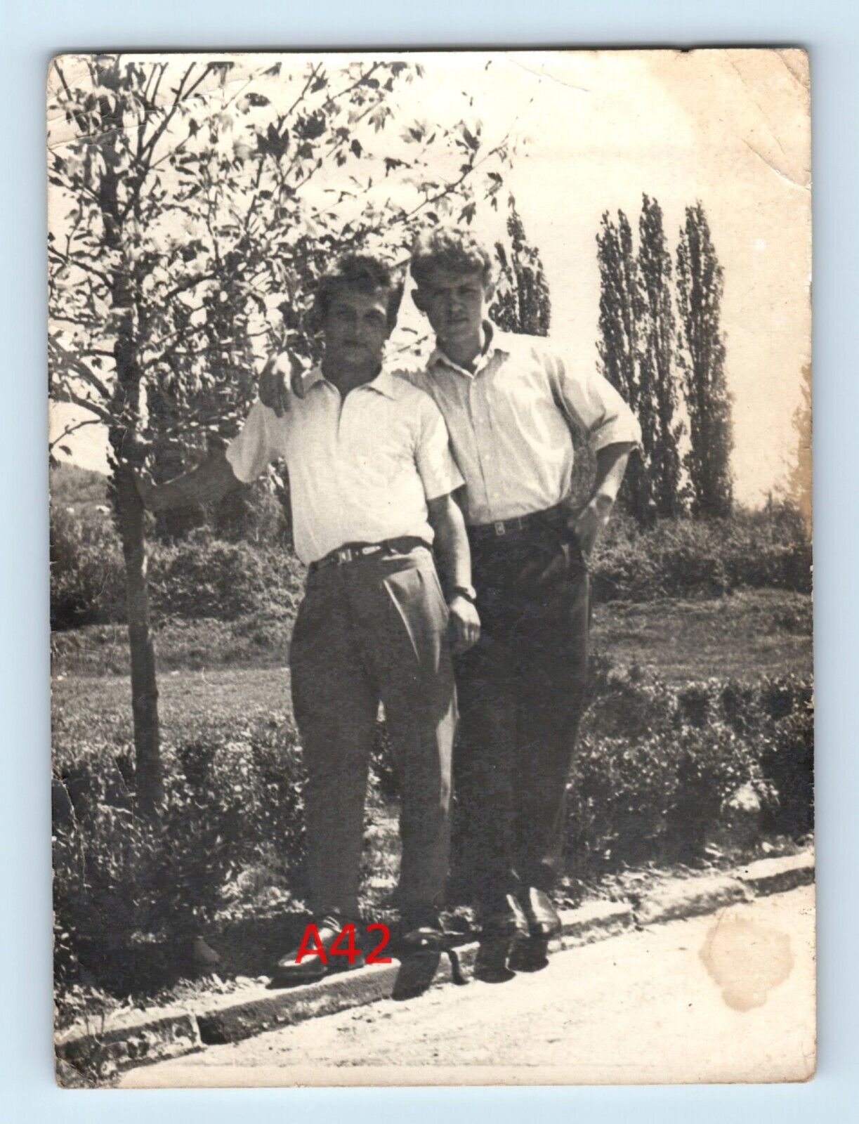 Original Photo TWO Man affectionate Hide on Tree Couple guy Love in Man gay int