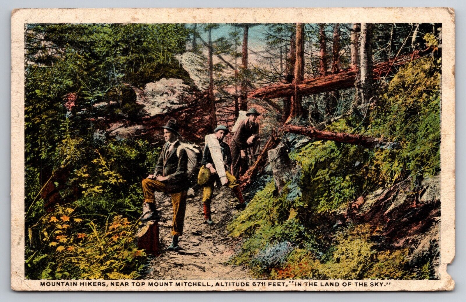 Mountain Hikers Mount Mitchell Land of the Sky North Carolina NC 1919 Postcard