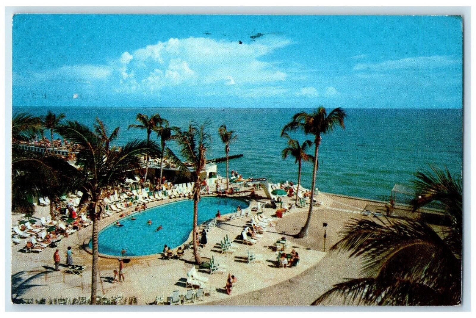 1974 Tropical Southern Coast Of Florida Beach Pool US Postal Service FL Postcard