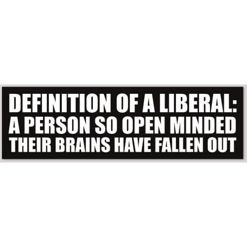Definition Of A Liberal So Open Minded Brains Fallen Out 3x10 Bumper Sticker