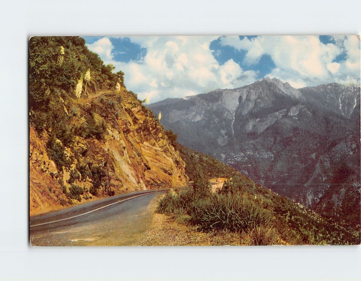 Postcard Highway 99 Sequoia National Park California USA
