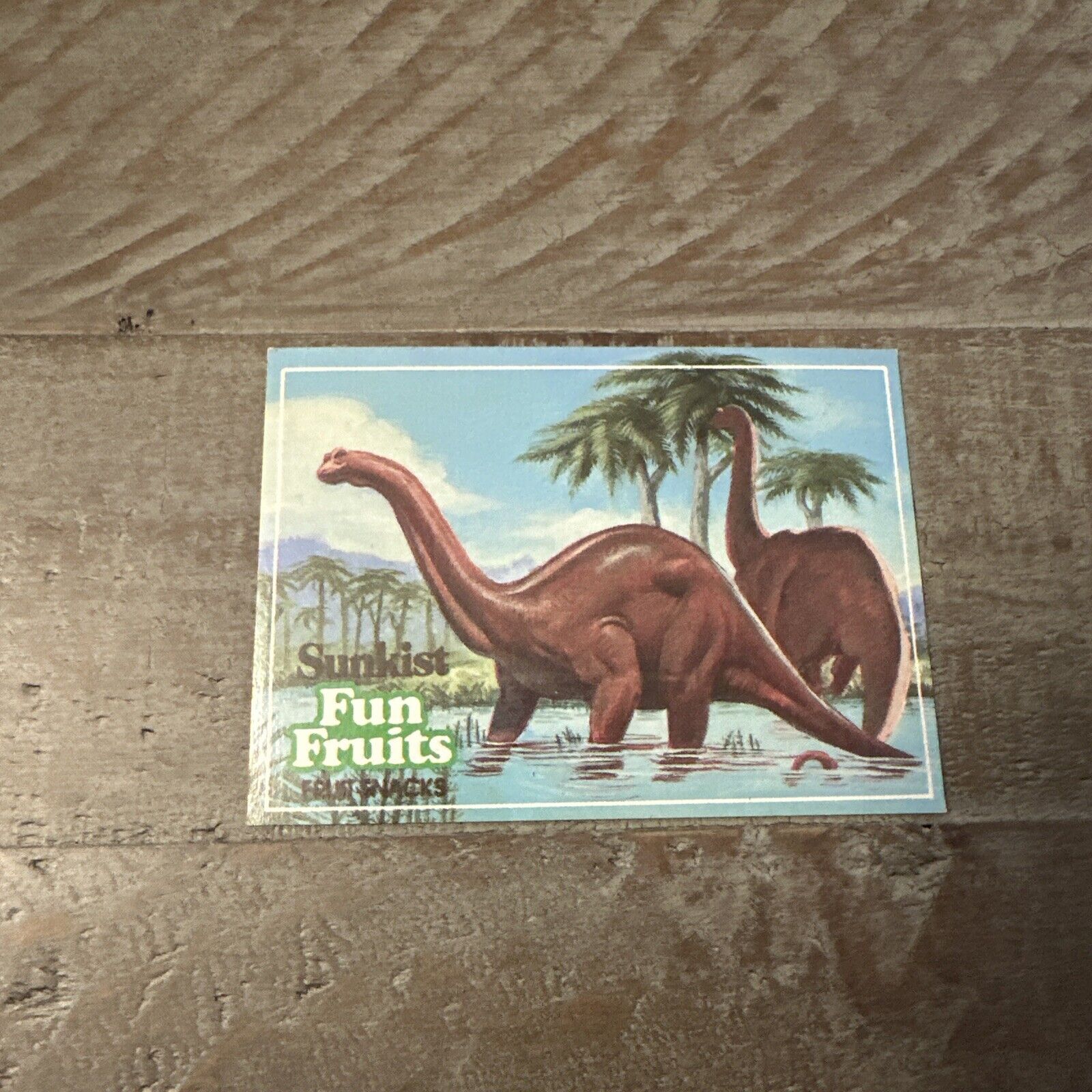 1987 Sunkist Fun Fruits Fruit Snacks Dinofacts Apatosaurus #A2 Trading Card