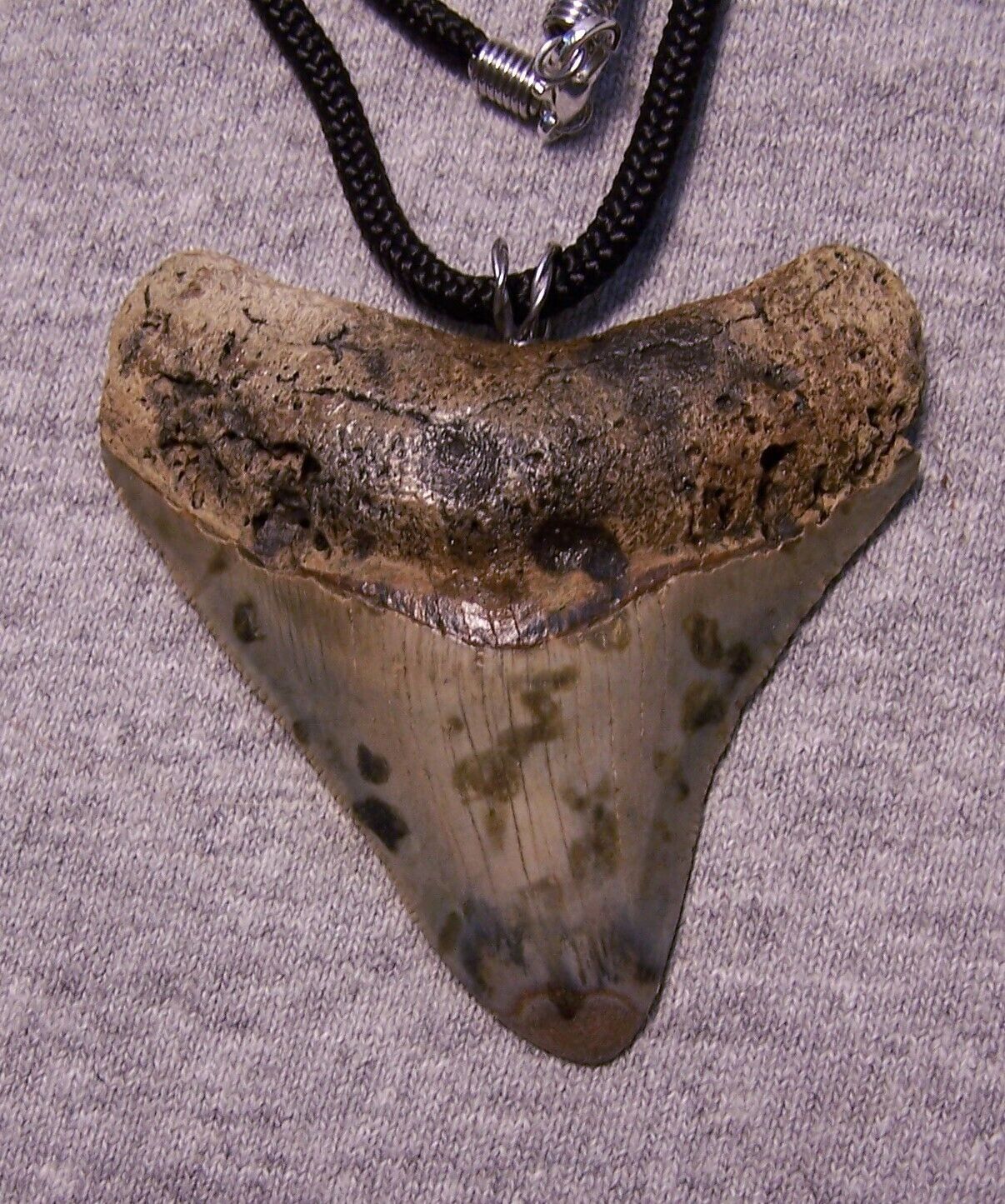 Megalodon shark tooth necklace 2 5/8\