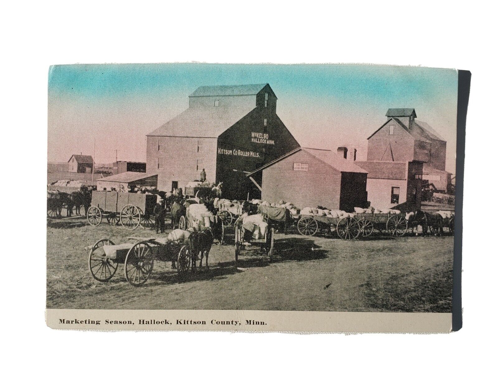 c. 1907-15 Vintage Postcard: Marketing Season, Hallock, Kittson County, MN