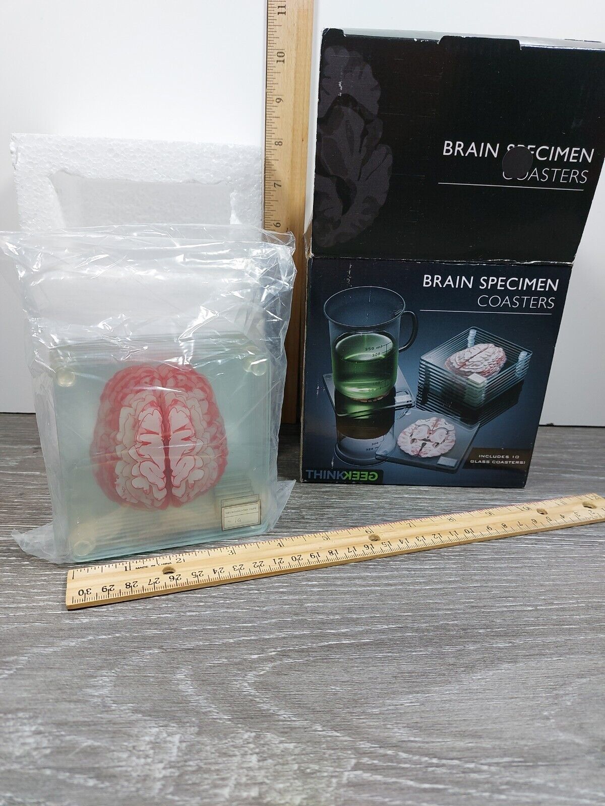 Anatomic Brain Specimen Coasters Set of 10 pieces with Original Box