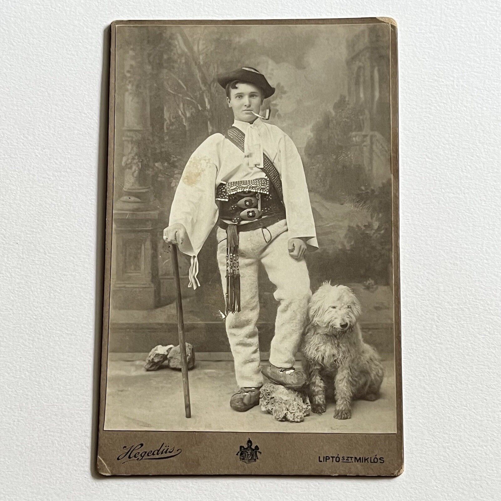 Antique Cabinet Card Photograph Man Teen Traditional Herder Sheep Dog Slovakia