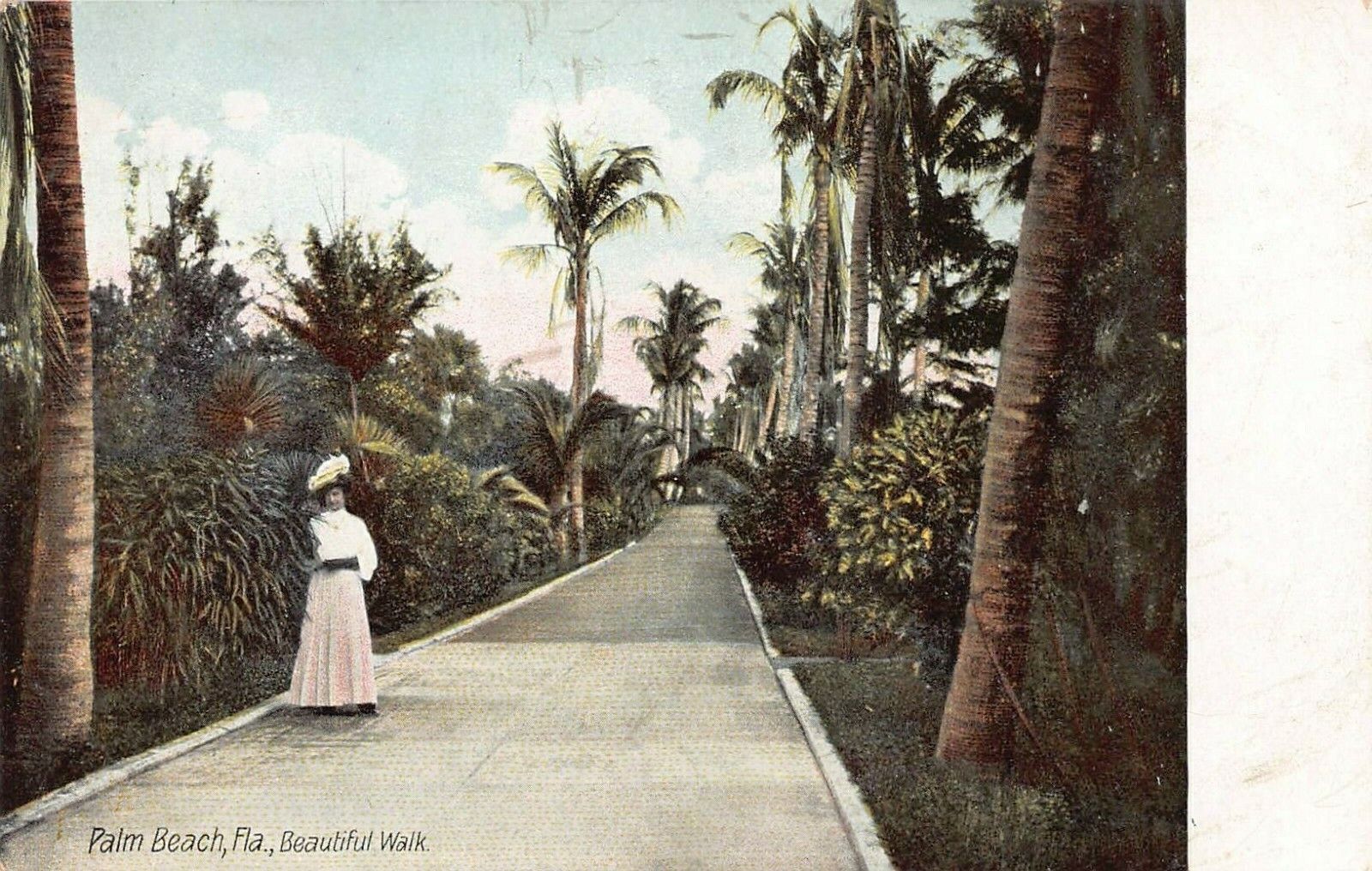 Beautiful Walk, Palm Beach, Florida, early postcard, unused