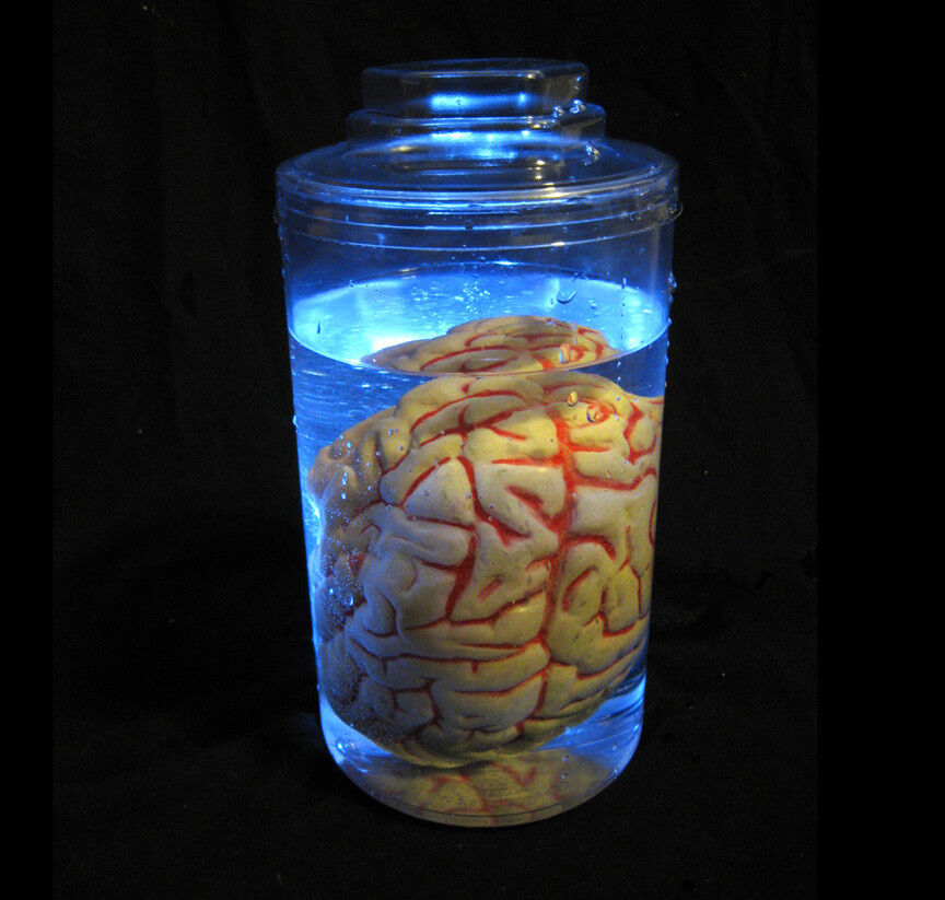  Mad Scientist Glow in Dark Brain Human Body Part Jar Halloween Party Prop 9